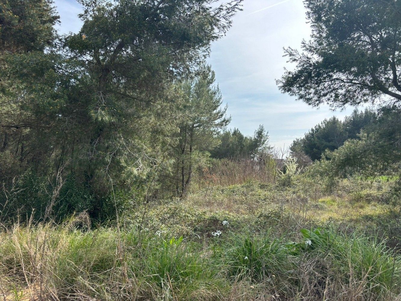 Pozemek pro bydlení, 755 m²