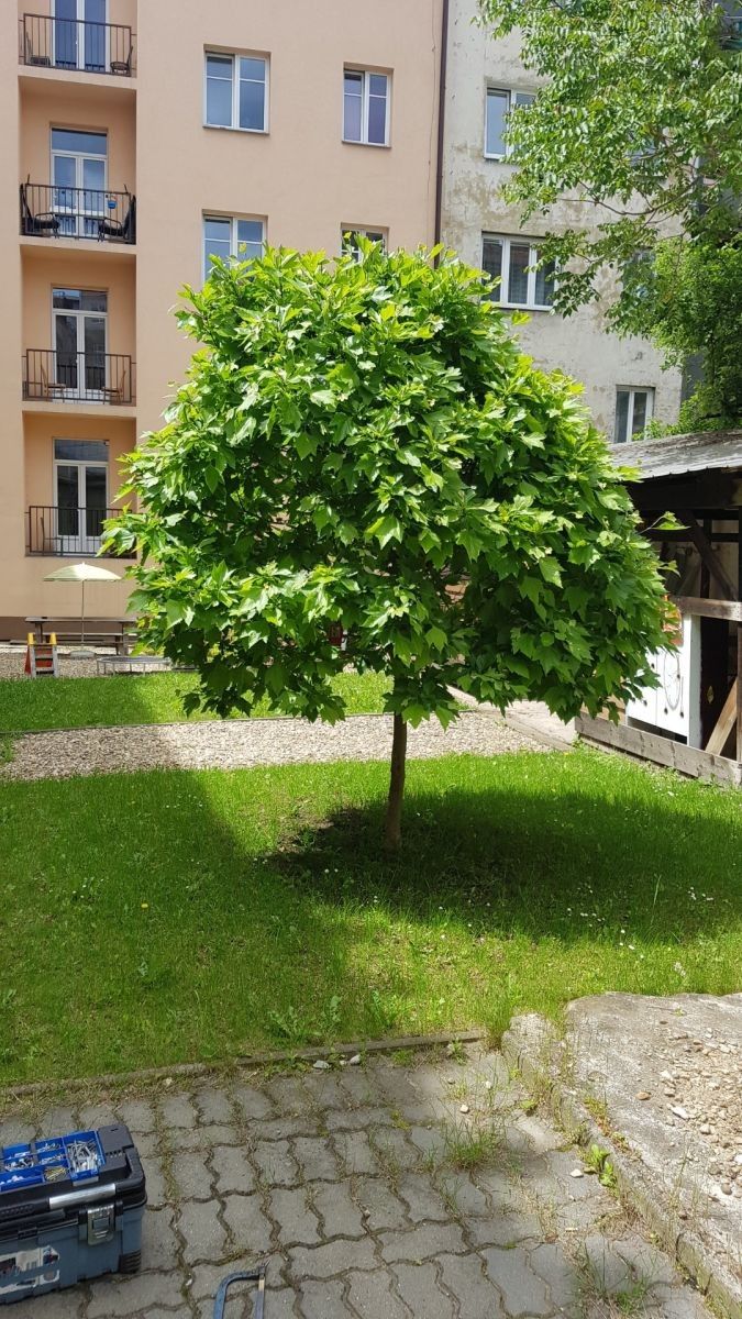 Byt 1+1 · 42 m² · Příční, Brno - Zábrdovice, Jihomoravský kraj - 4