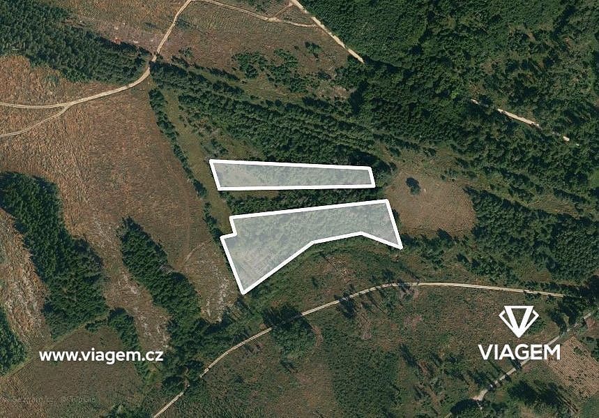 Prodej les - Dačice, okres Jindřichův Hradec, Jihočeský kraj - 1