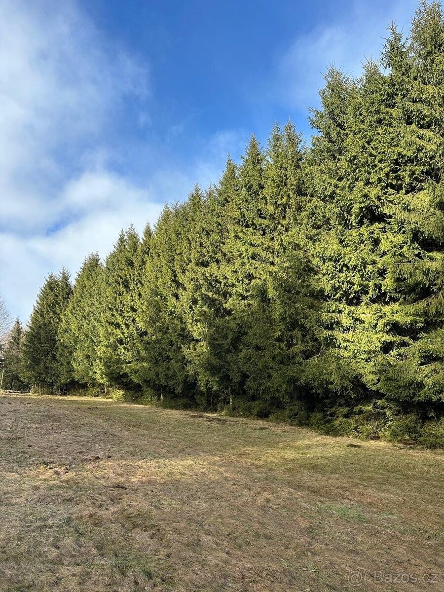 Prodej pozemek pro bydlení - Červený Kostelec, 549 41