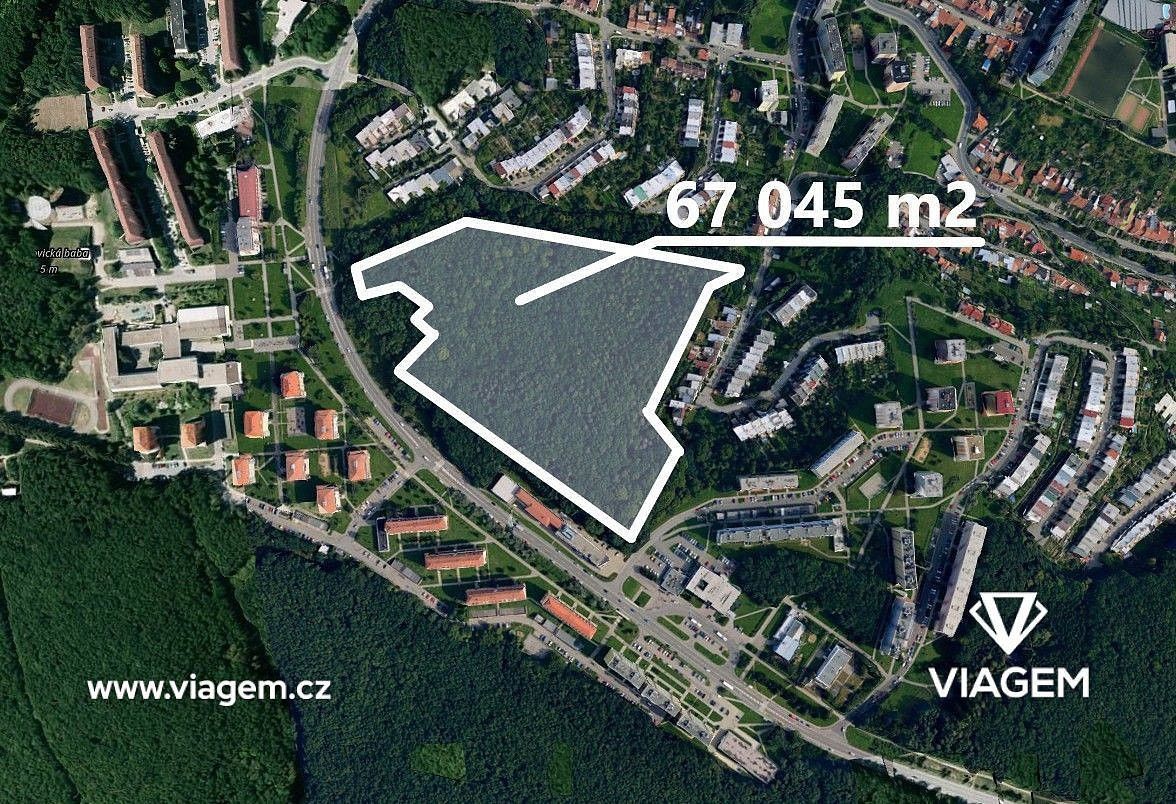 Lesy, Brno, okres Brno-město, Jihomoravský kraj - 1