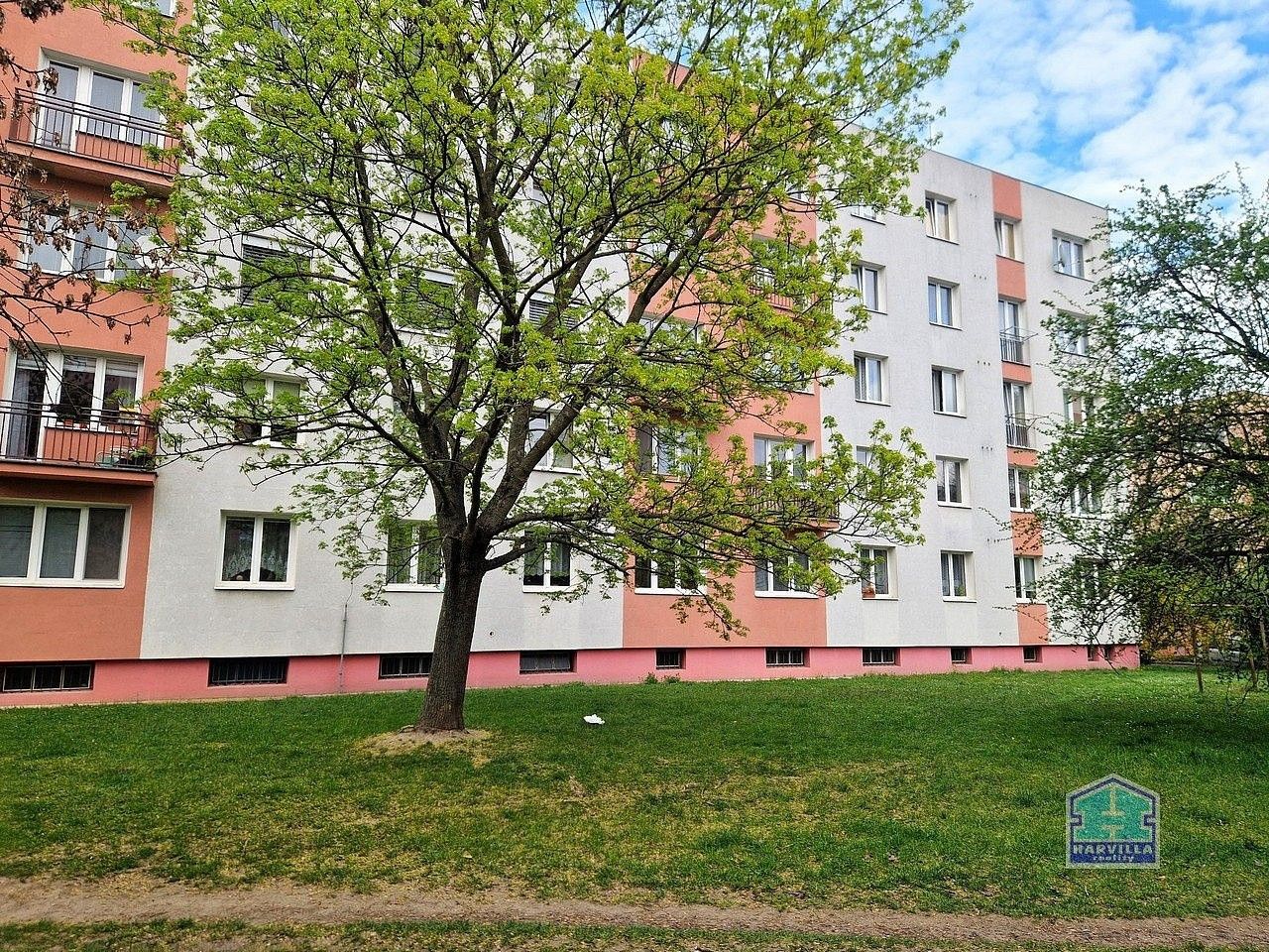 Byt 2+1 · 50 m² · Plzeň - Lobzy, okres Plzeň-město, Plzeňský kraj - 1