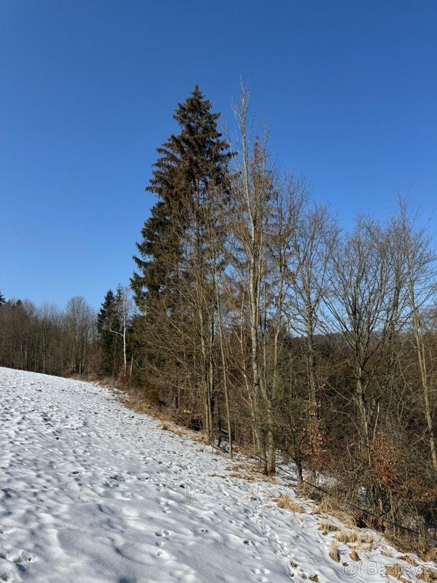 Pozemky pro bydlení, Zábřeh, 789 01