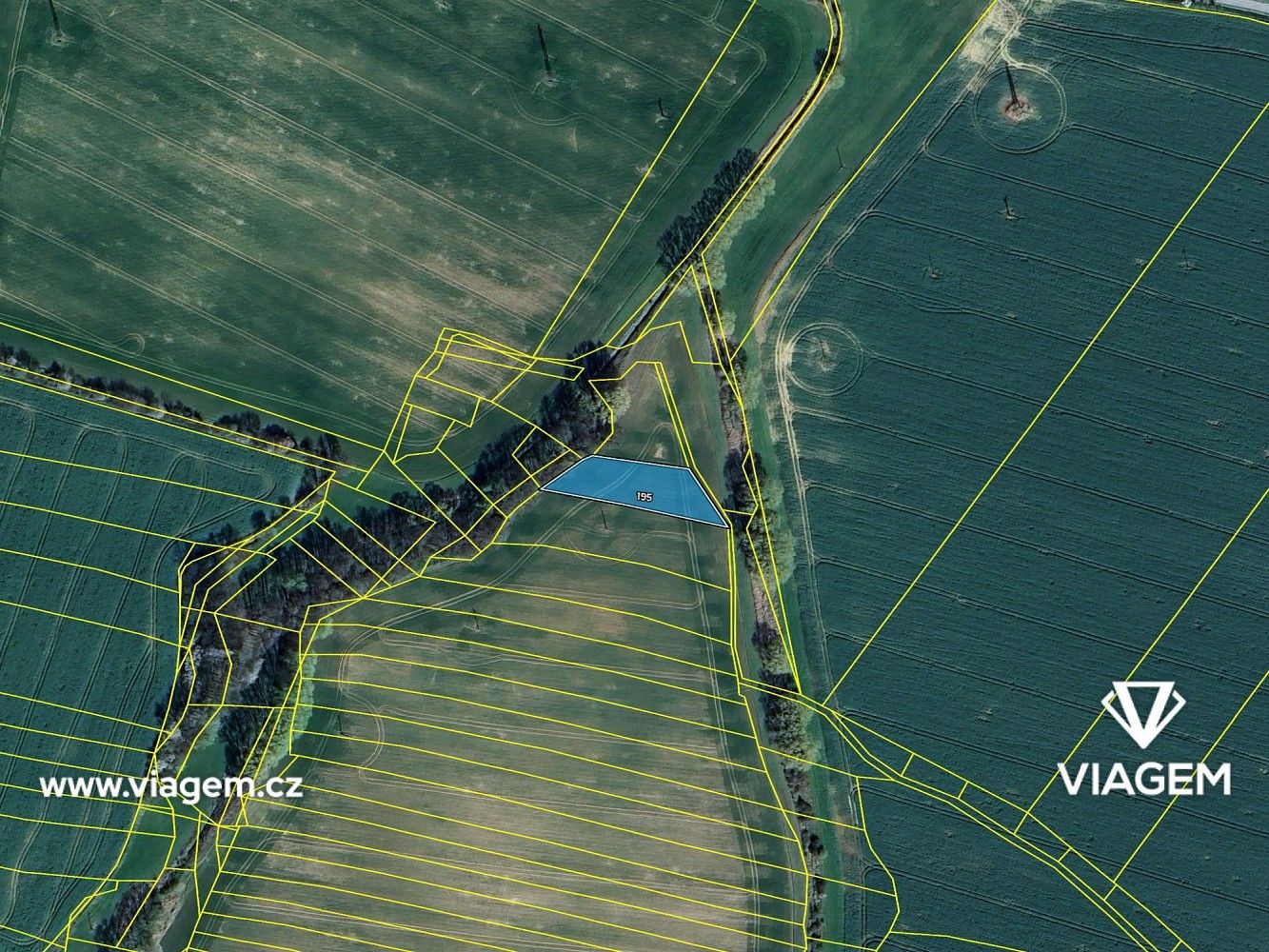 Zemědělský pozemek · Golčův Jeníkov, okres Havlíčkův Brod, Kraj Vysočina - 4