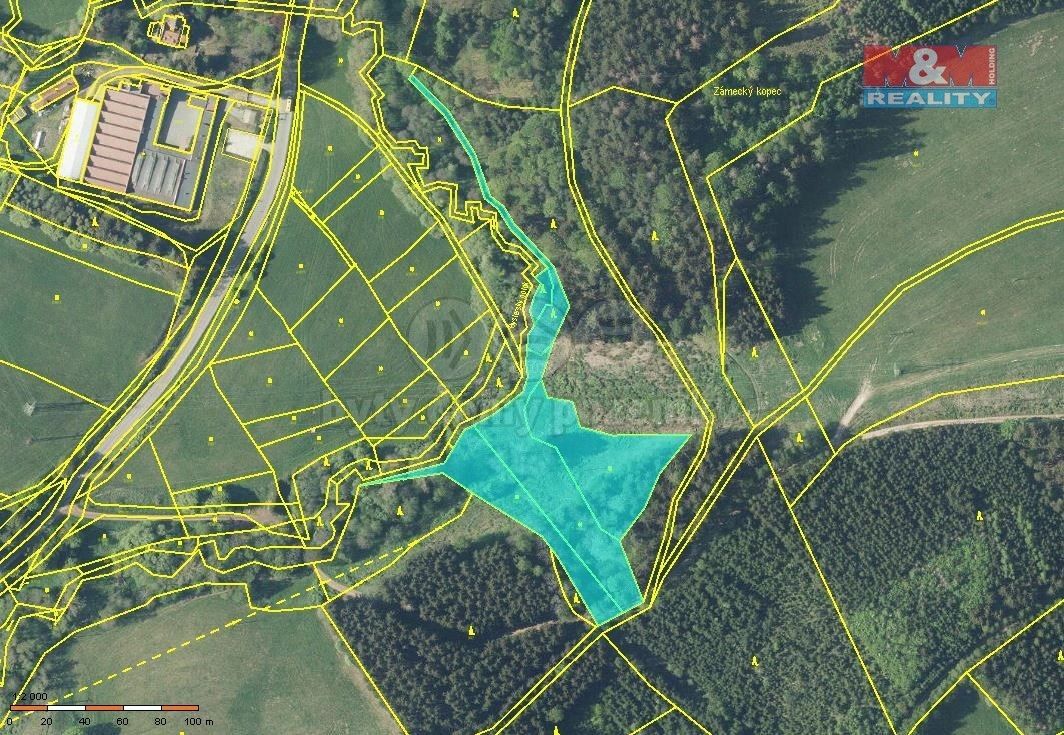 Lesy, Stárkov, 7 994 m²