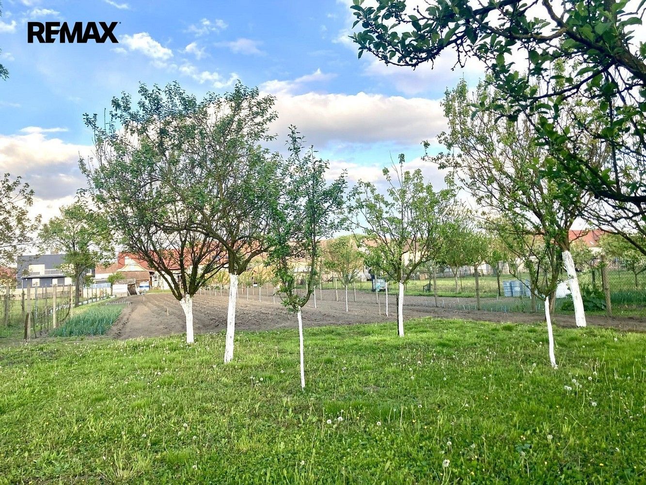 Rodinné domy, Vacenovice, okres Hodonín, Jihomoravský kraj, 215 m² - 2