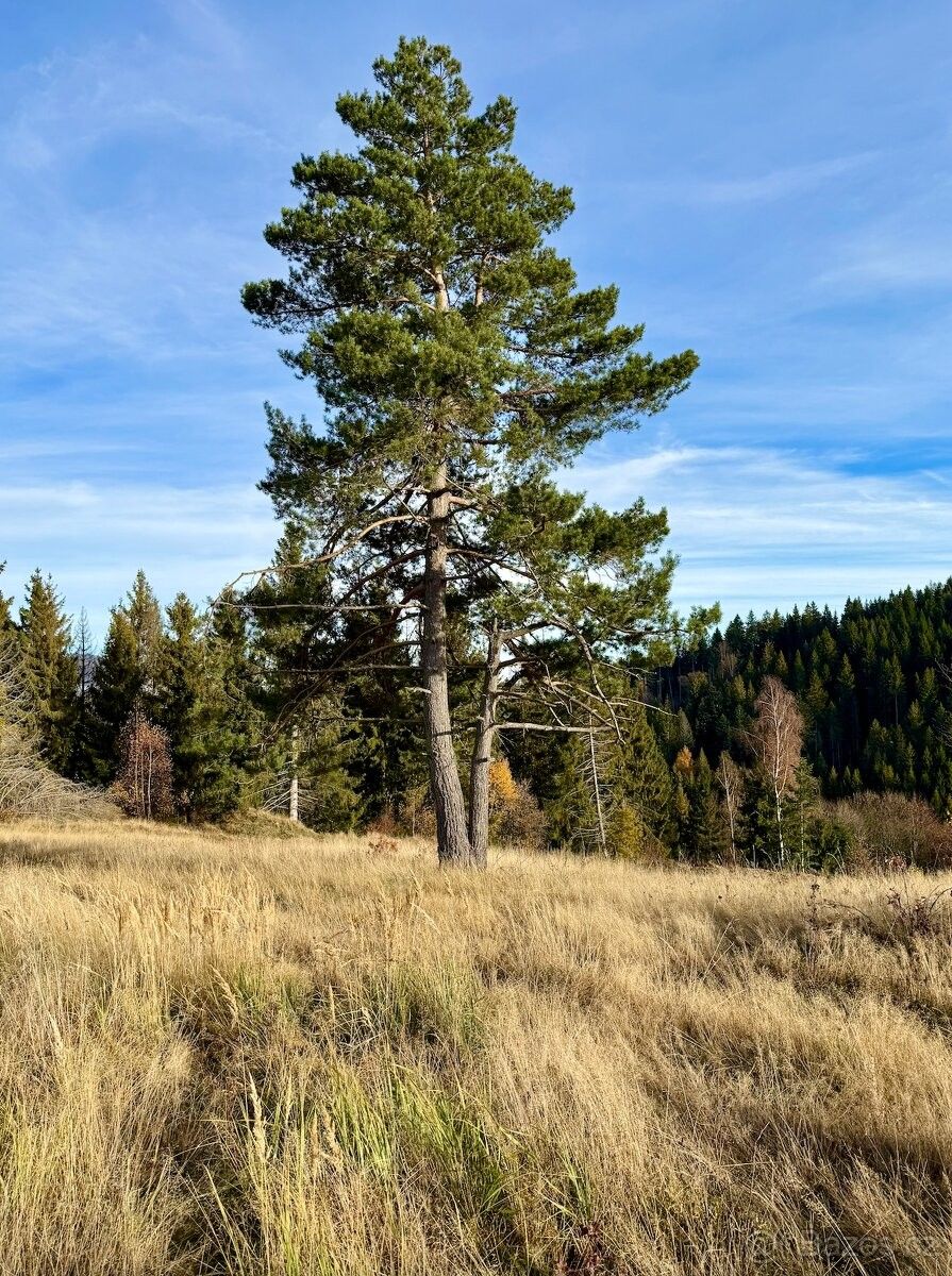 Prodej pozemek pro bydlení - 987 65, Slovensko