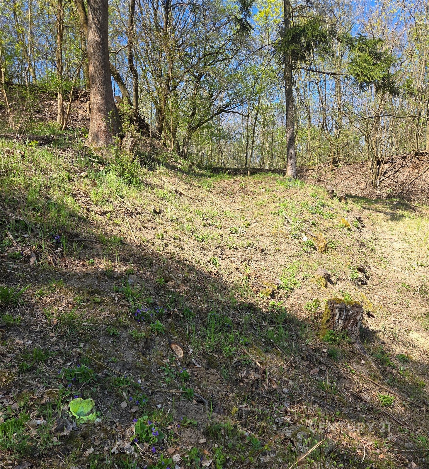 Zahrada · Kralupy nad Vltavou - 3