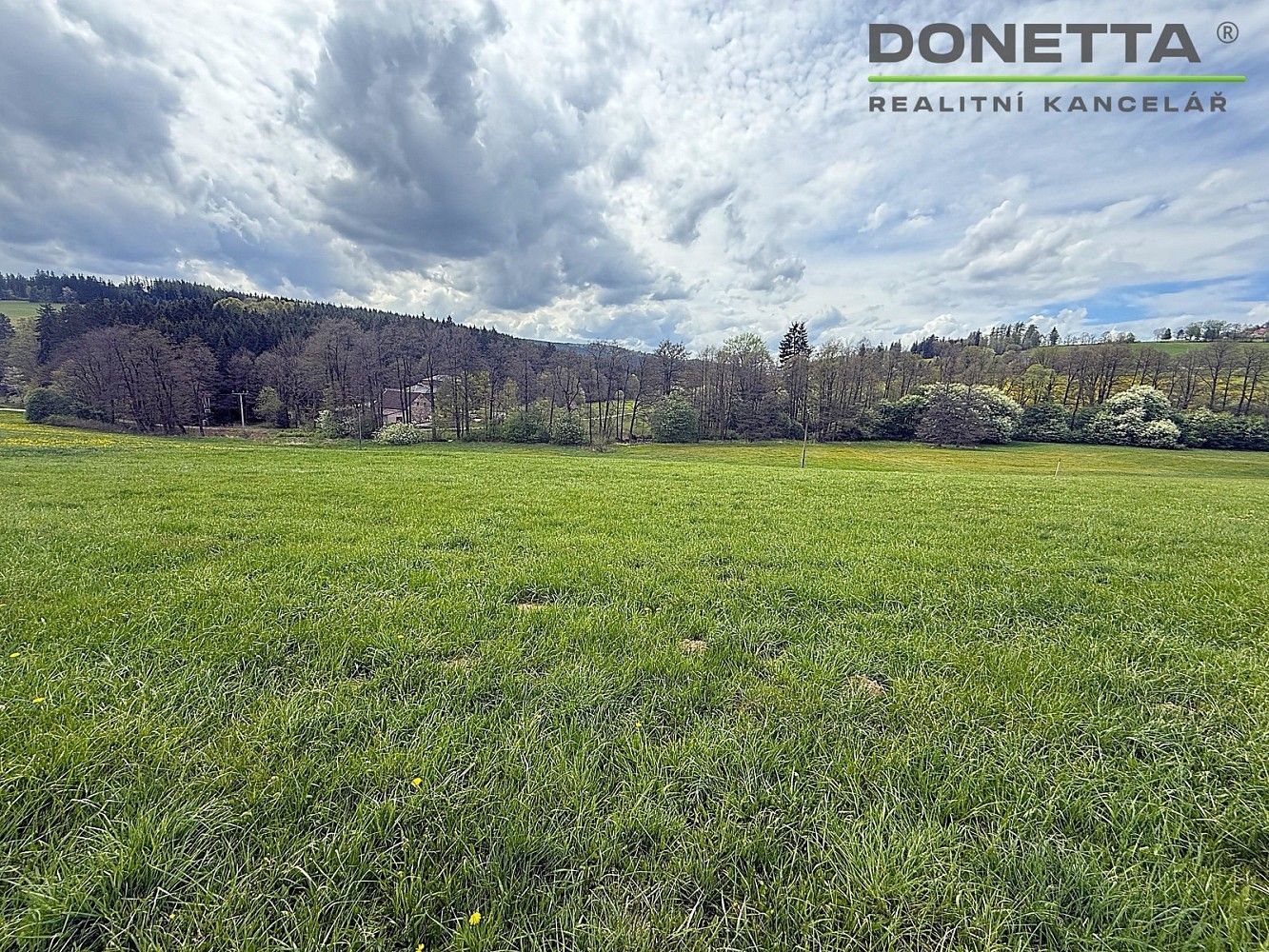 Prodej louka - Březiny, okres Svitavy, Pardubický kraj - 5