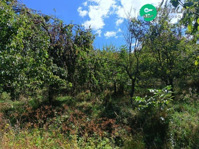 Zahrada · 4 839 m² · Blišice, Koryčany - 4
