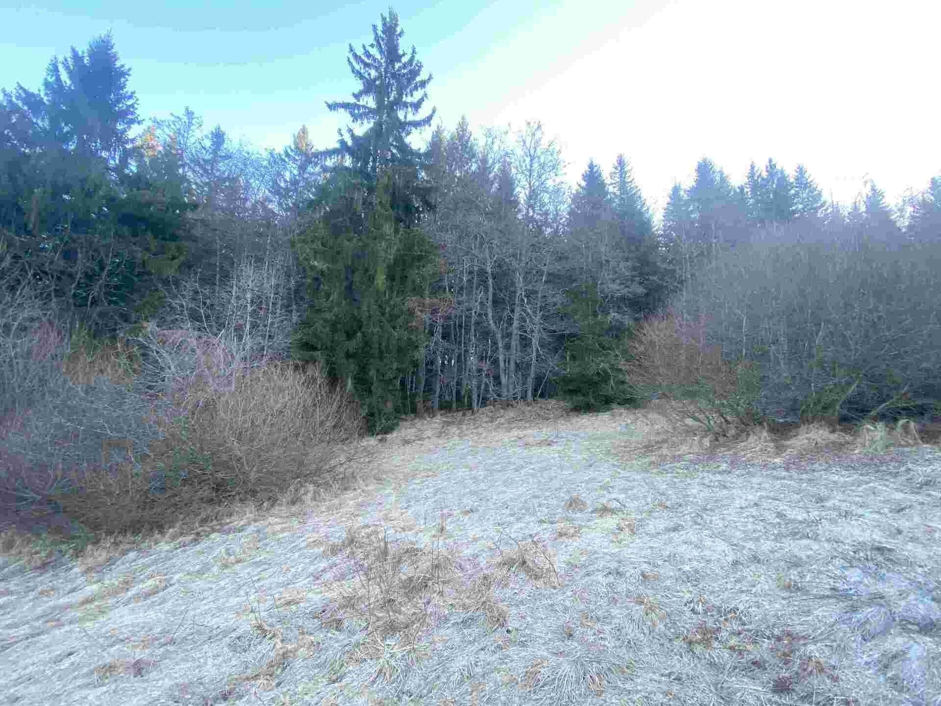 Zemědělské pozemky, Železná Ruda, 2 377 m² - 2