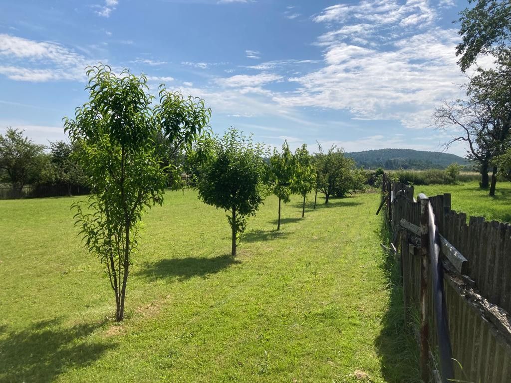 Zahrada · 1 369 m² · Bartultovice 2, Vysoká - 3