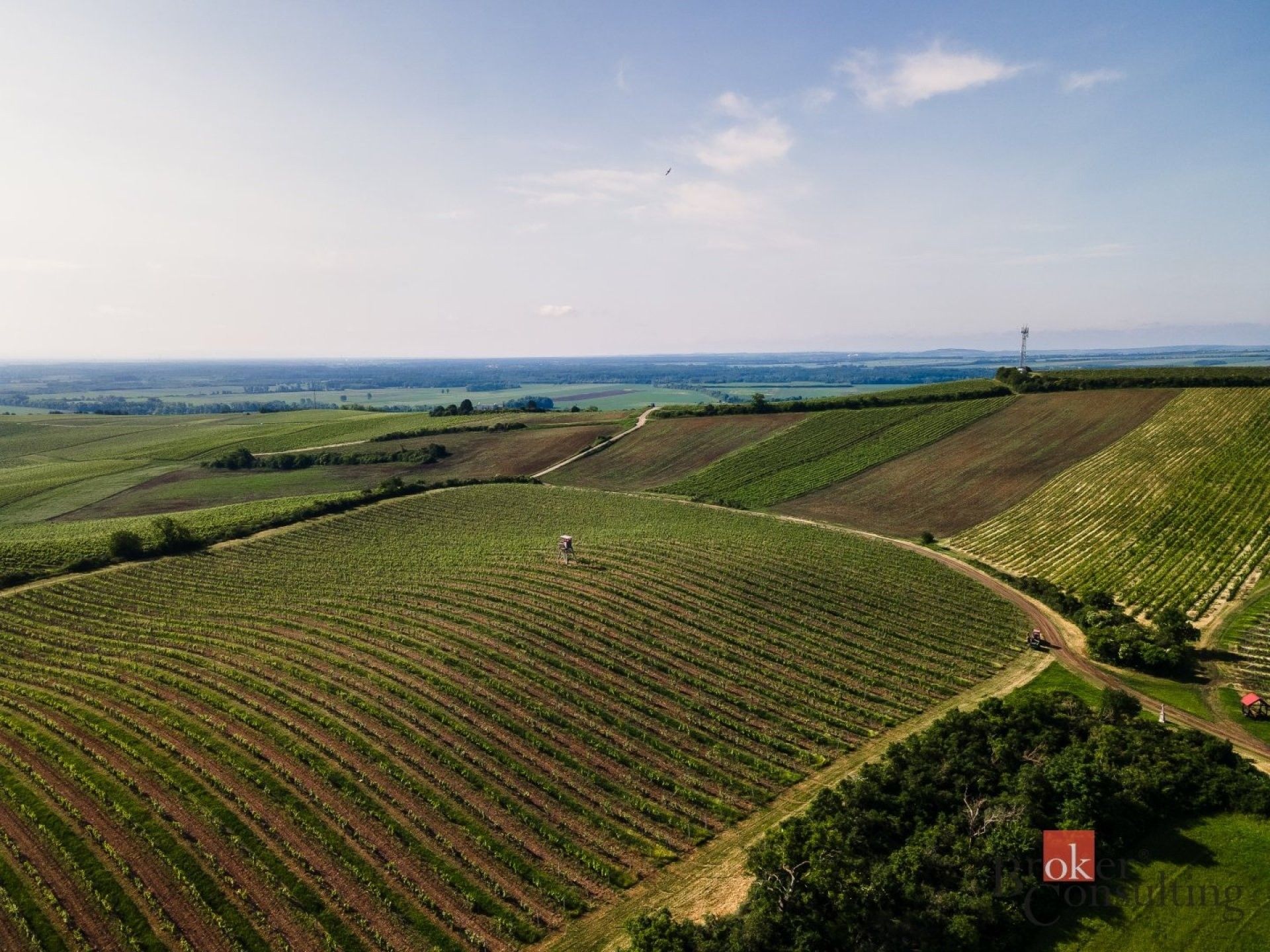 Ostatní, Zaječí - 2