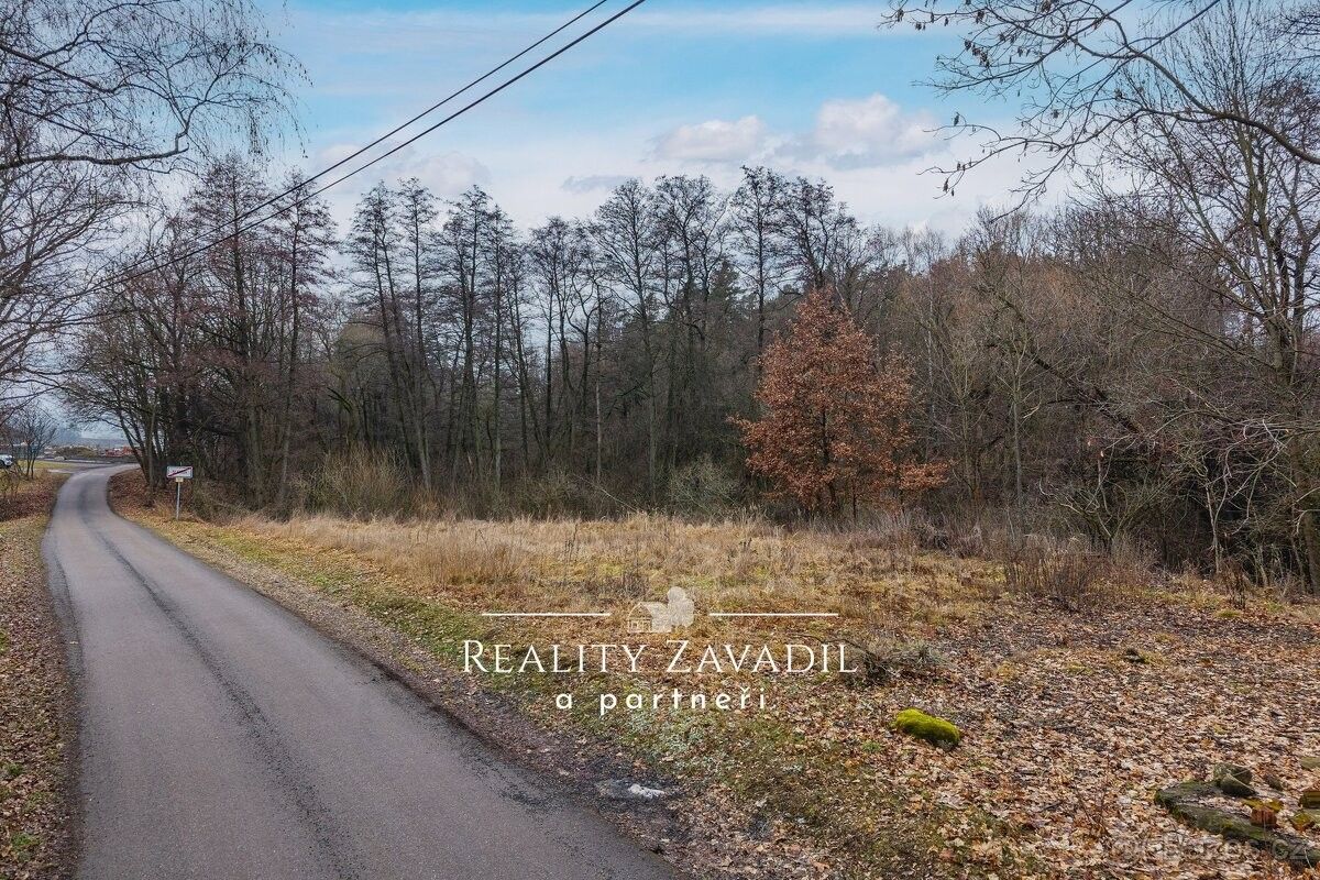 Prodej pozemek pro bydlení - Vrchotovy Janovice, 257 53