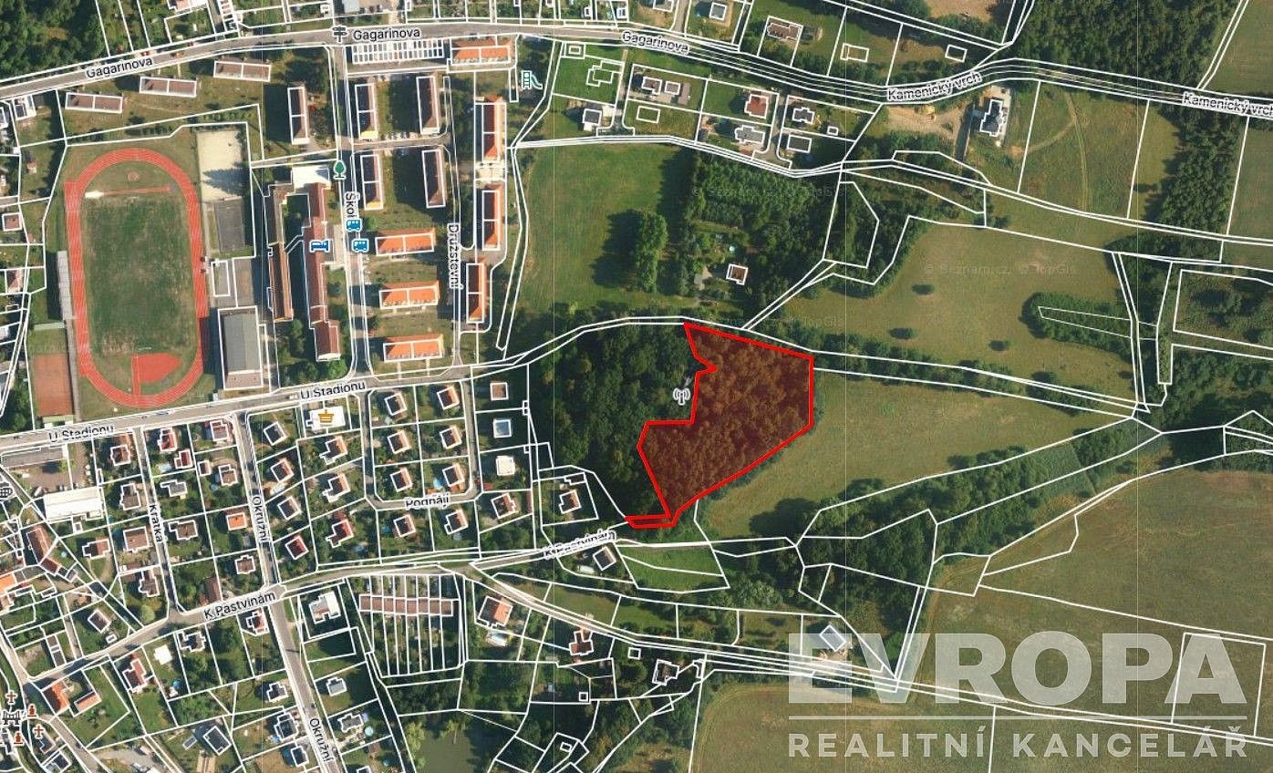 Prodej les - Zákupy, okres Česká Lípa, Liberecký kraj - 1