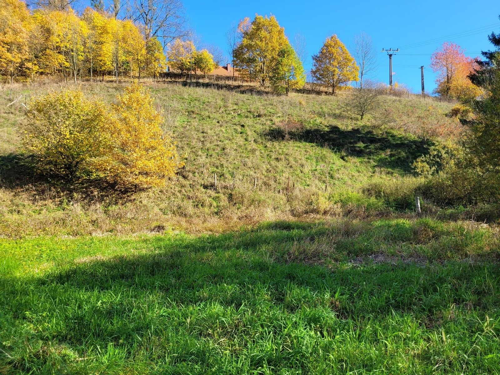 Pozemek pro bydlení · 4 496 m² · Heřmánkovice - 4