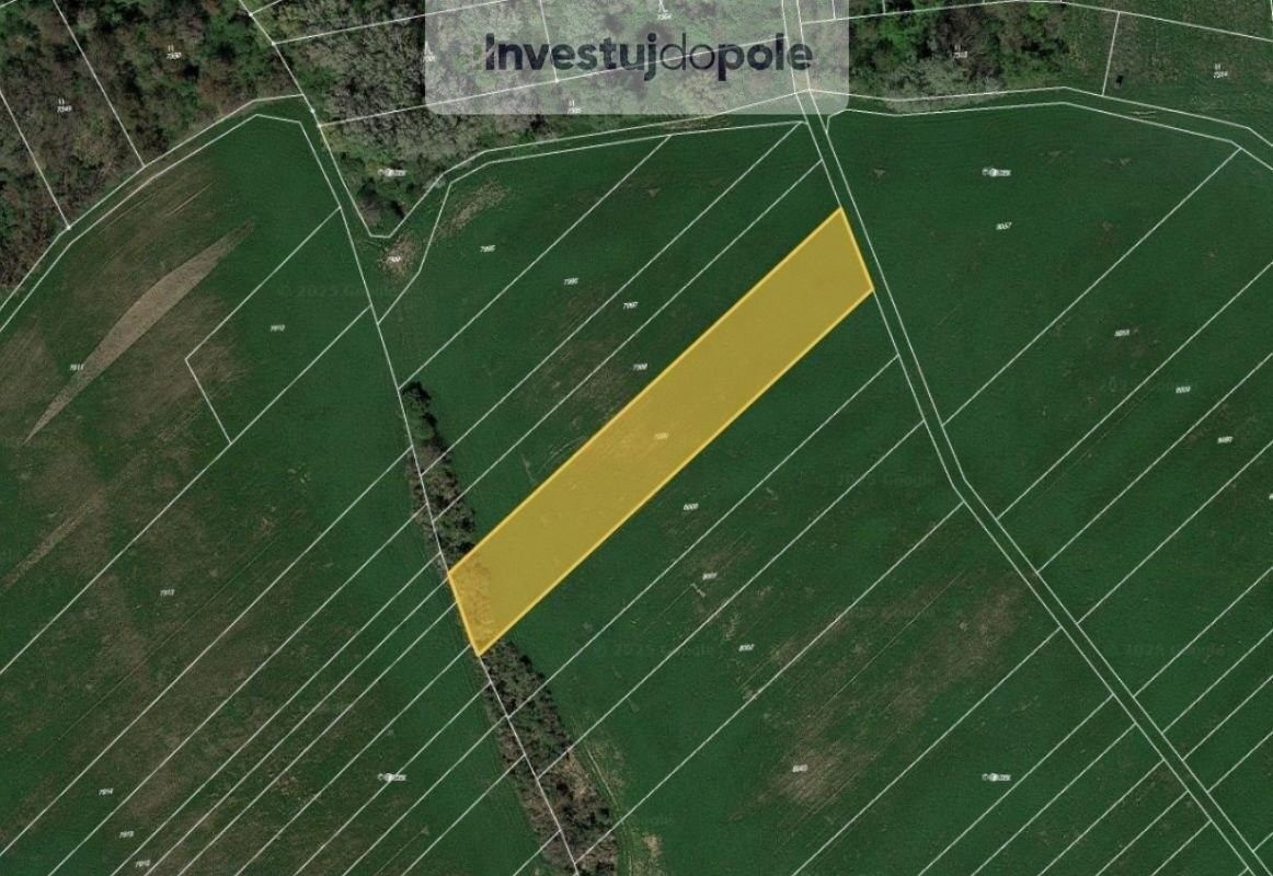 Zemědělské pozemky, Velké Němčice, 4 736 m²