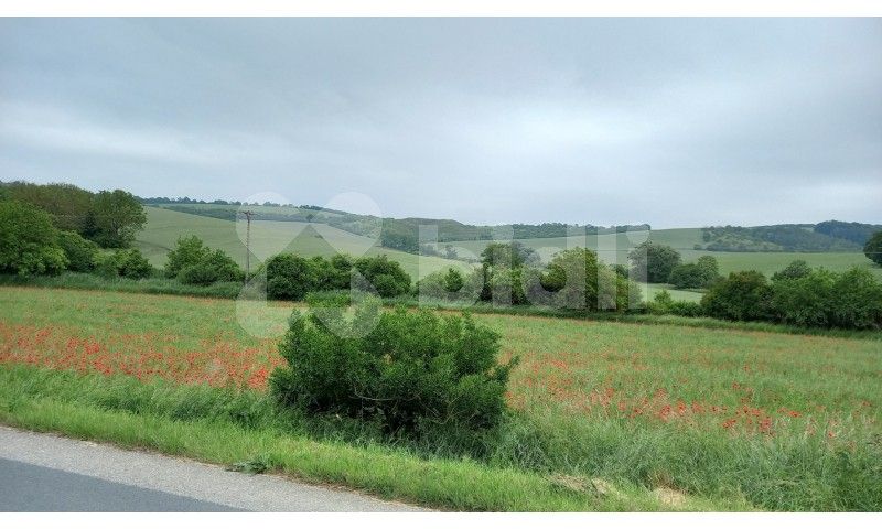 Pozemky pro bydlení, Masarykova, Klobouky u Brna