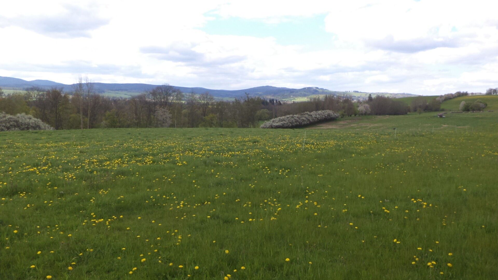 Prodej pozemek - Staré Město Nová Véska, 10 063 m² - 5