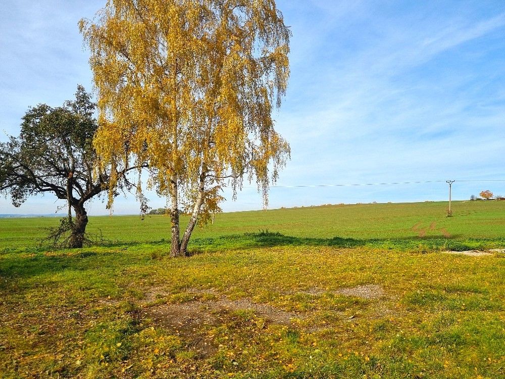 Prodej pozemek pro bydlení - Boseň, okres Mladá Boleslav, Středočeský kraj - 5
