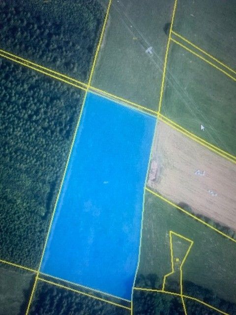 Prodej pozemek pro bydlení - Horní Heřmanice, 561 33