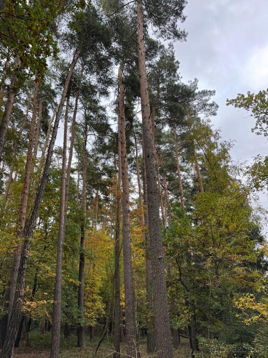 Pozemky pro bydlení, Horšovský Týn, 346 01 - 1