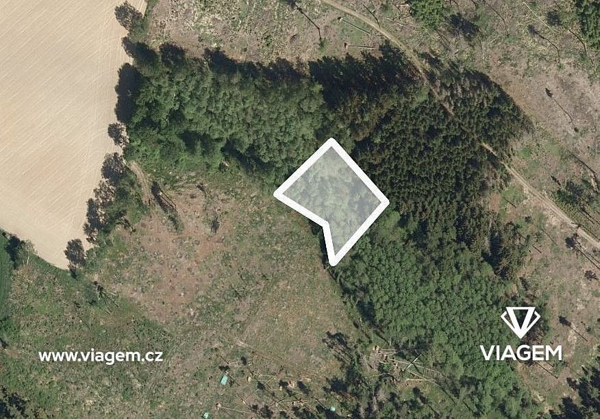 Les, 669 m²