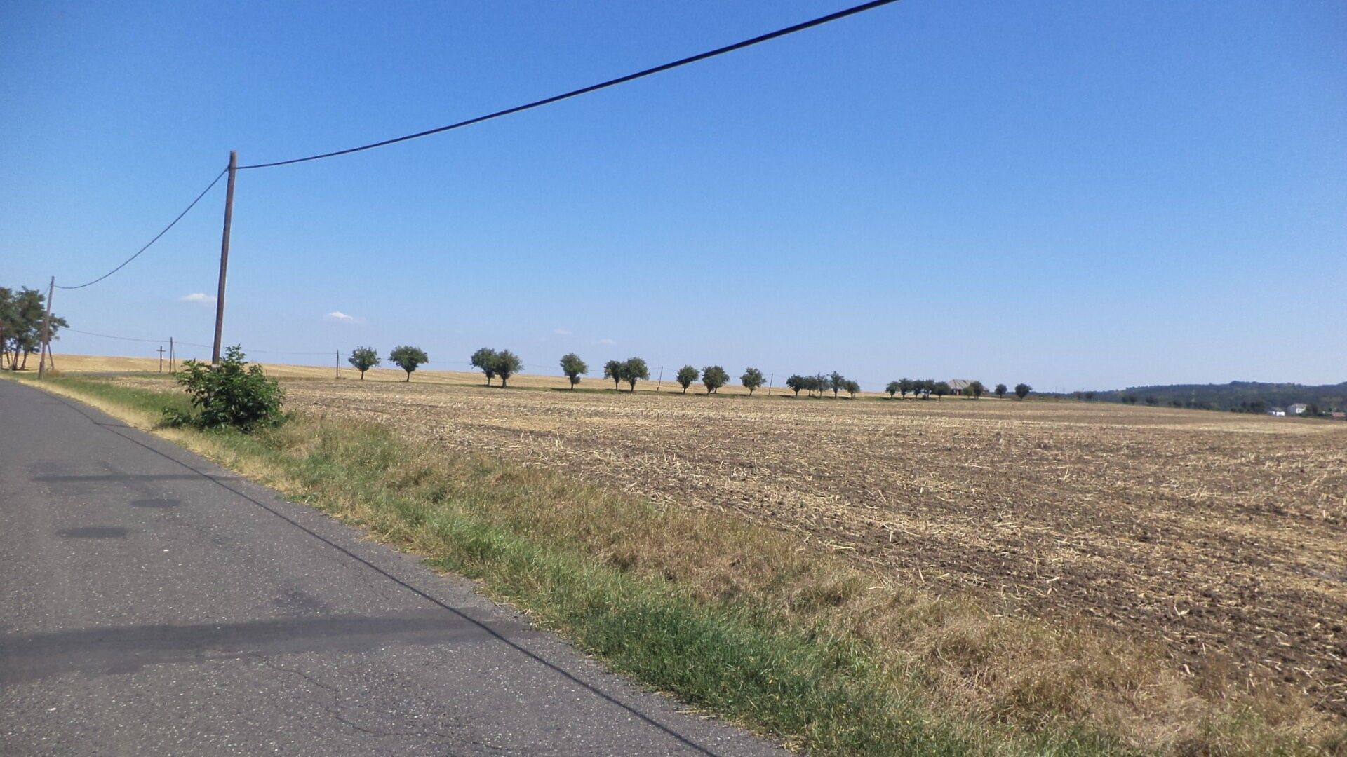 Ostatní, Kněžice, Podbořany, 1 m²