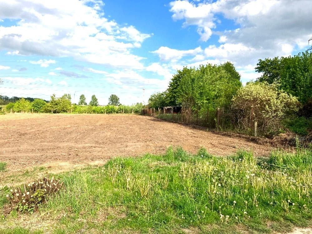 Prodej pozemek pro bydlení - Na Hlásku, Choltice, 1 205 m²