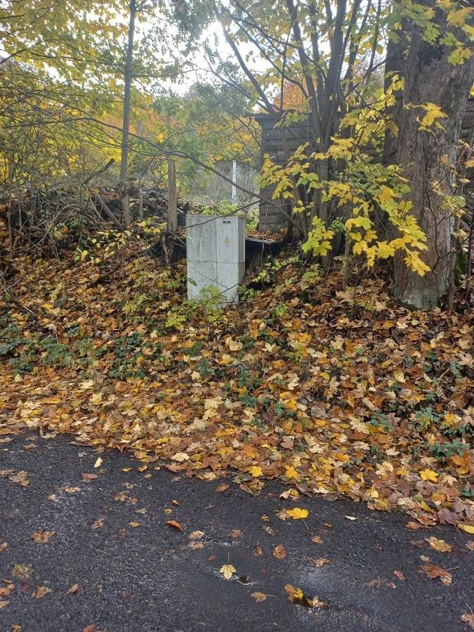 Pozemky pro bydlení, Javorná, Bochov