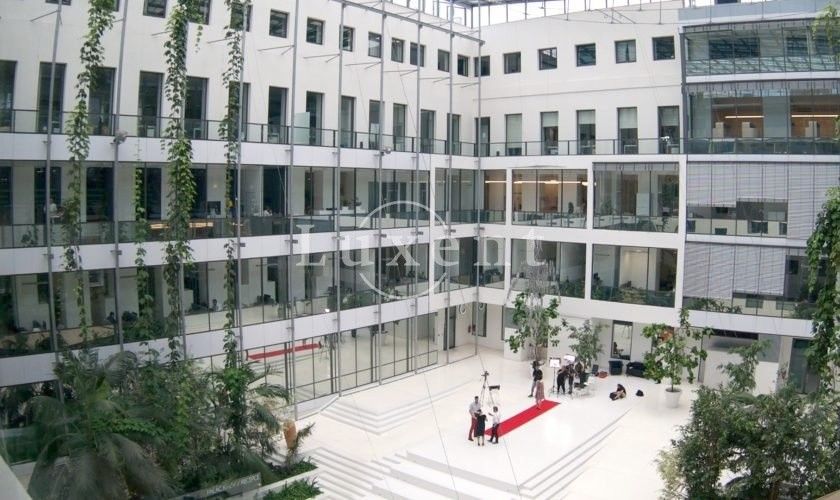 Kanceláře, Radlická  , Praha, 247 m² - 2