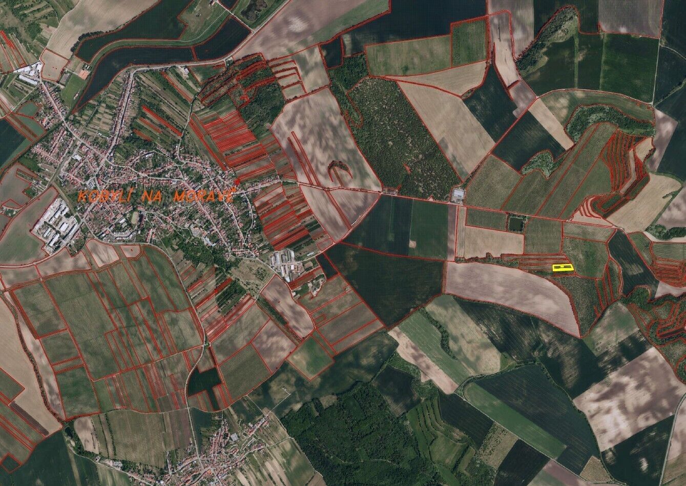 Prodej zemědělský pozemek - Kobylí, 4 334 m² - 2