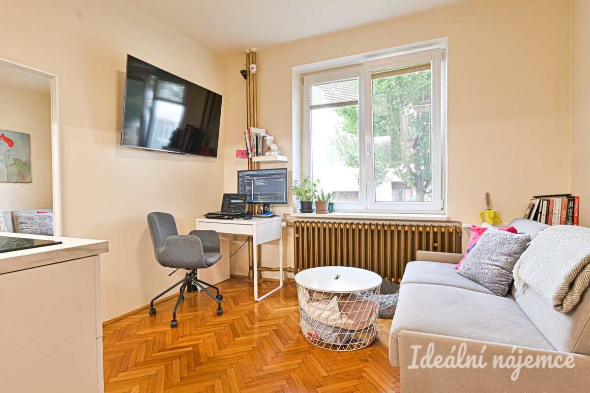 Pronájem byt 1+kk - Ruská, Brno, 20 m²