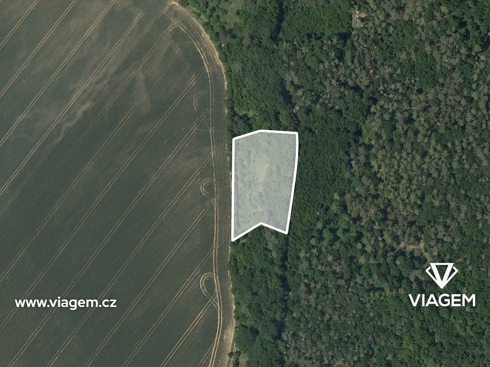 Prodej zemědělský pozemek - Štěpánovice, okres Brno-venkov, Jihomoravský kraj - 2