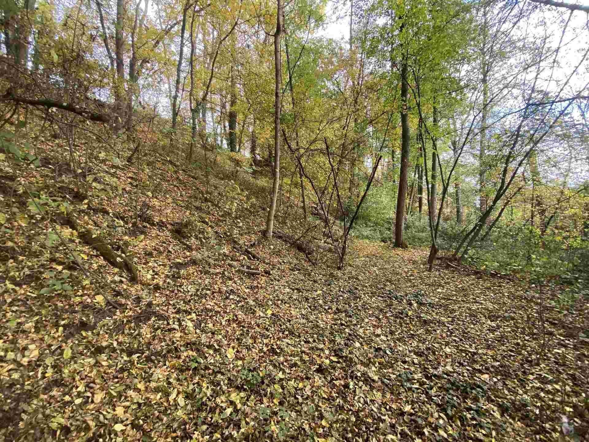 Pozemek · 2 639 m² · Svijany - 3