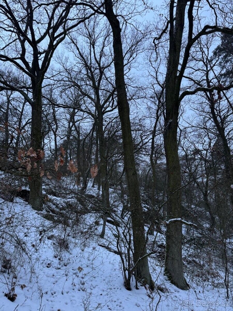 Pozemky pro bydlení, Kralupy nad Vltavou, 278 01 - 2