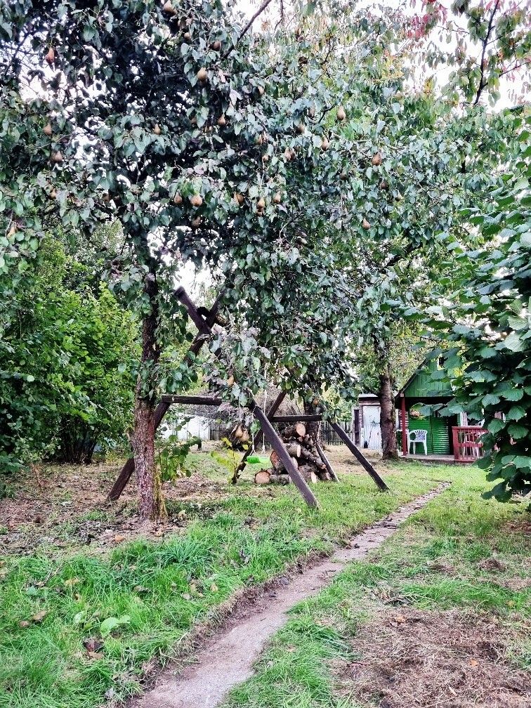 Prodej zahrada - Aš, 352 01 - 2