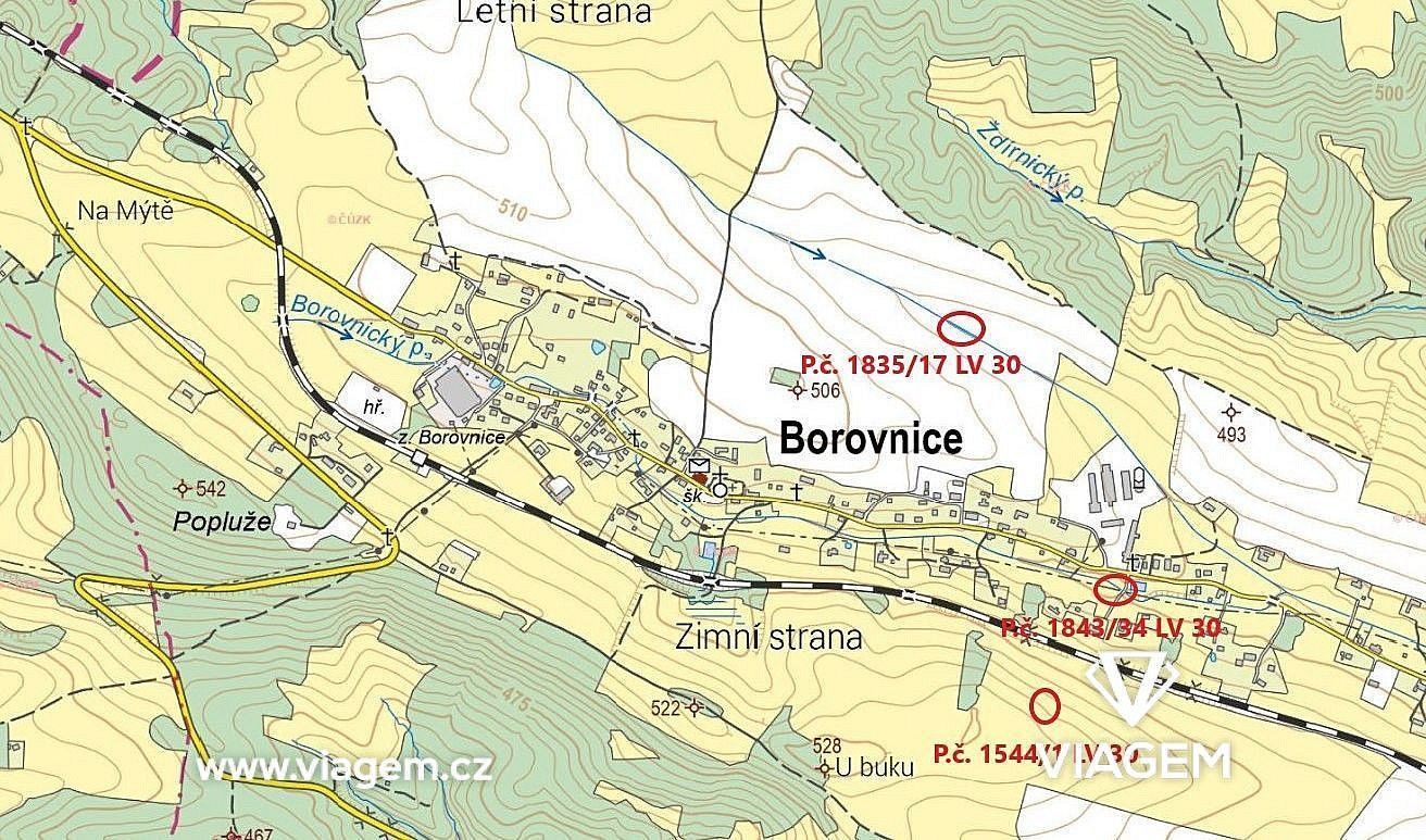 Zemědělský pozemek · Borovnice, okres Trutnov - 4