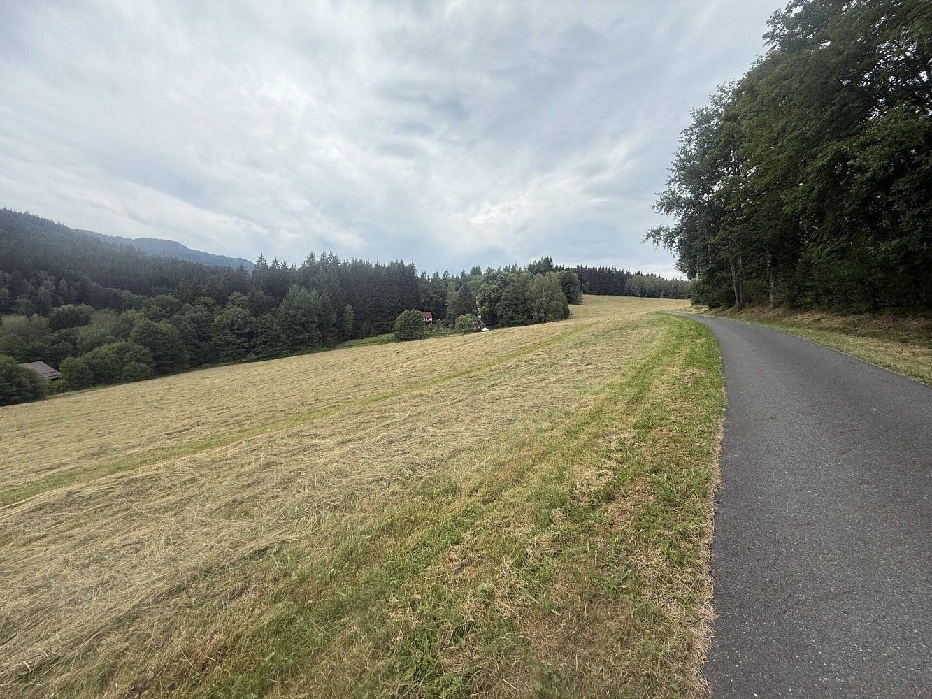 Louka · Hamry, okres Klatovy, Plzeňský kraj - 4