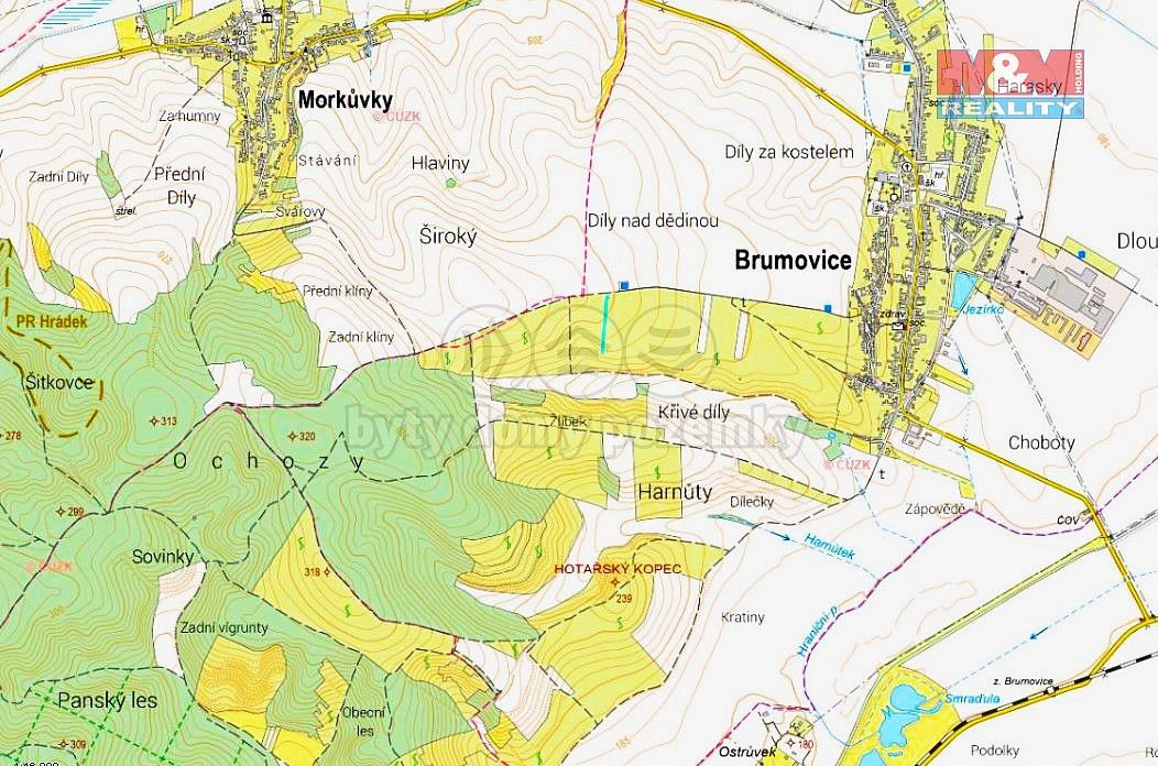 Prodej zemědělský pozemek - Brumovice, okres Břeclav, Jihomoravský kraj - 5