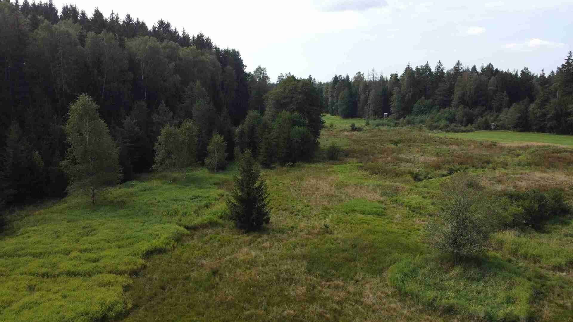 Prodej zemědělský pozemek - Rozvadov, 52 176 m² - 5