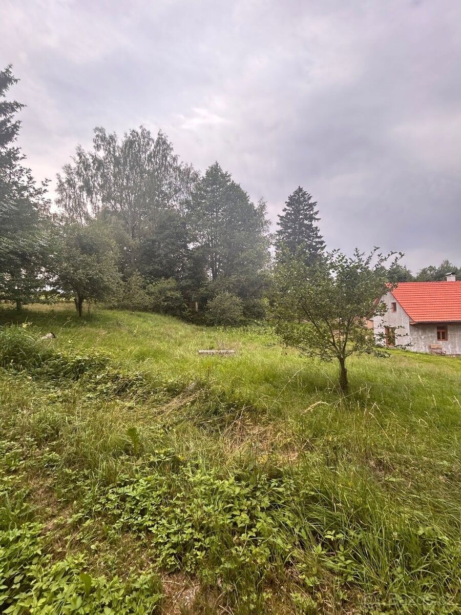 Prodej pozemek pro bydlení - Nová Včelnice, 378 42 - 2