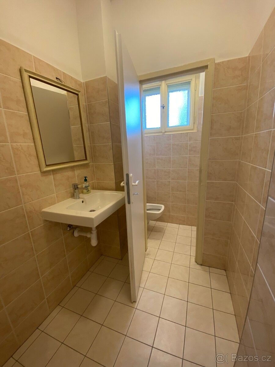 Byt other – Praha, Zelená Liška – další