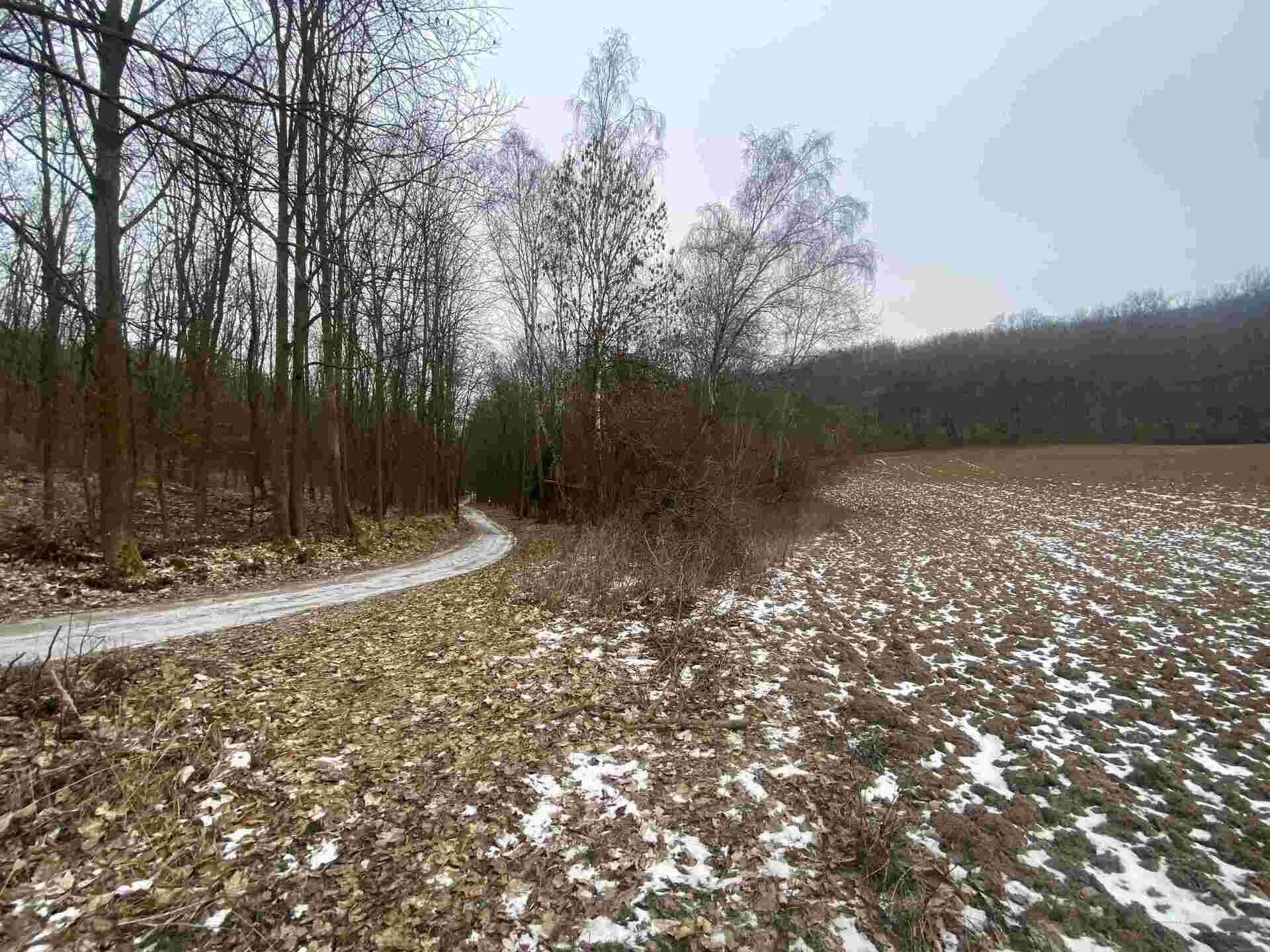 Ostatní, Karlštejn, 679 m²