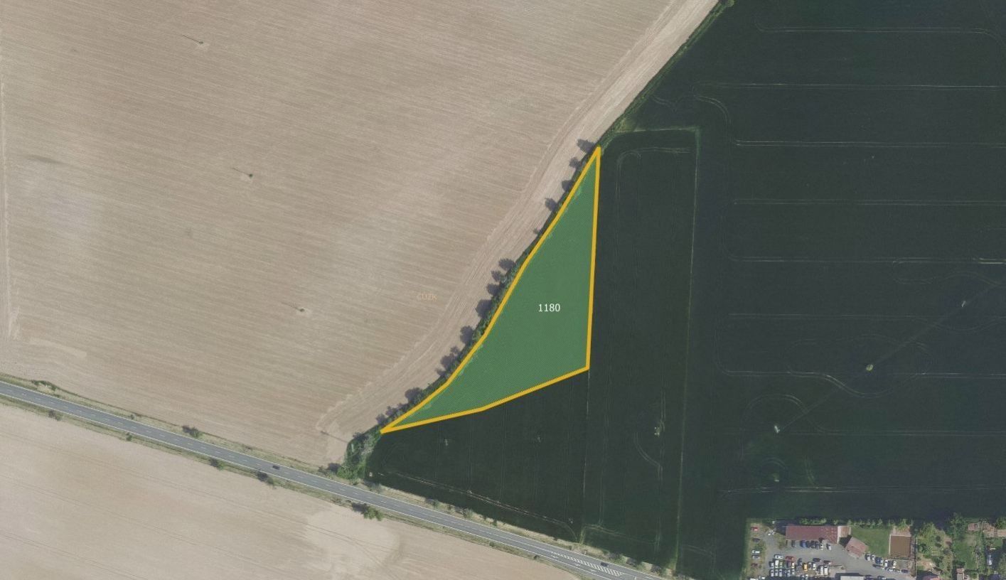 Zemědělské pozemky, Vysoká, Suchdol