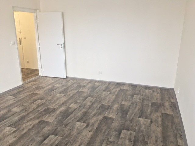 Byt 1+1 · 38 m² · U Haldy, Ostrava - 4