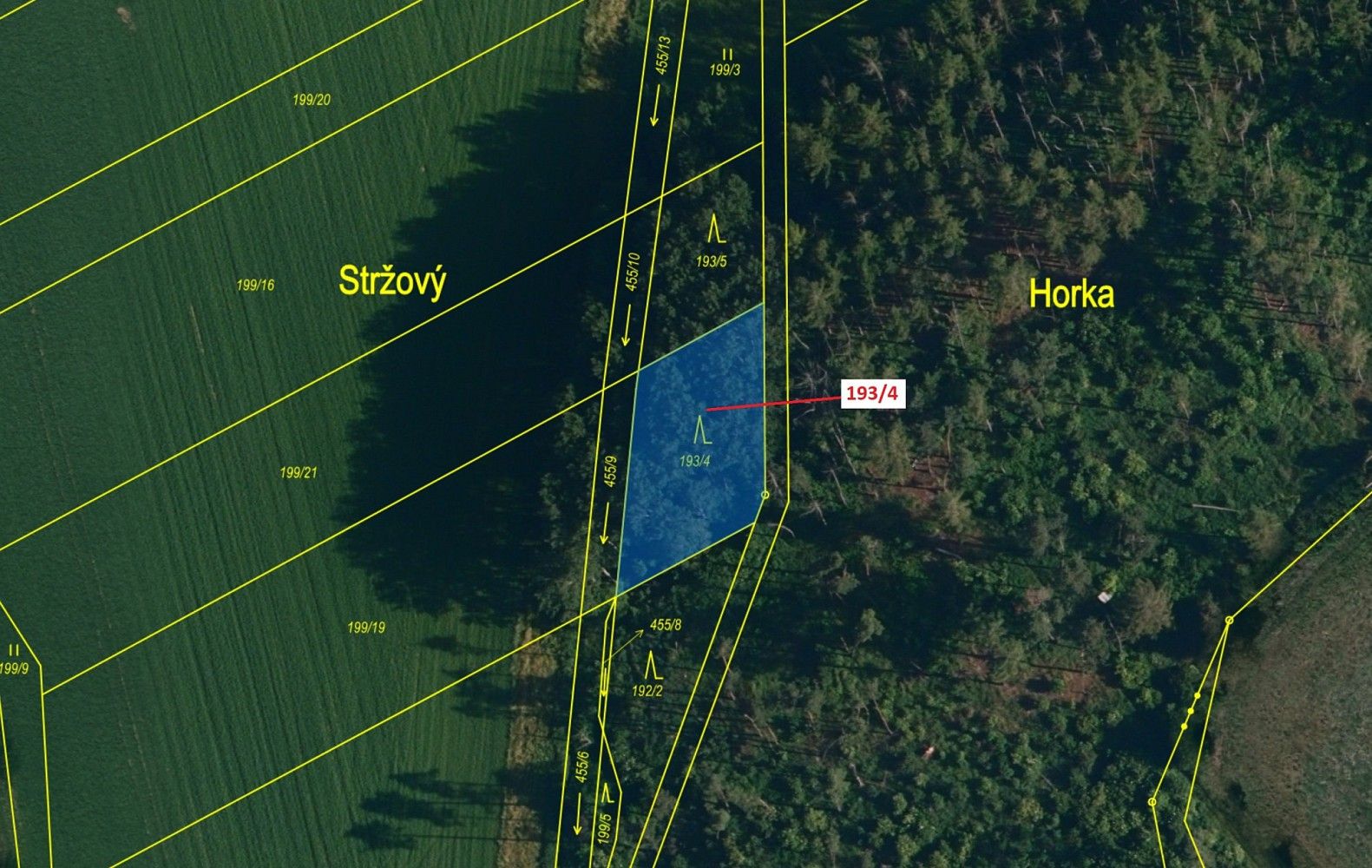 Prodej les - Kojetice, okres Třebíč, Kraj Vysočina - 2
