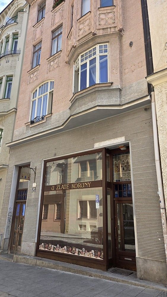 Obchodní prostory, Brno - Brno-město, okres Brno-město, Jihomoravský kraj, 105 m² - 1