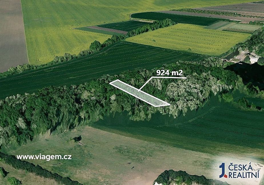 Les · Telnice, okres Brno-venkov, Jihomoravský kraj - 2