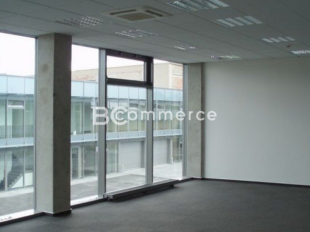 Pronájem sklad - Brno, okres Brno-město, Jihomoravský kraj, 480 m² - 5